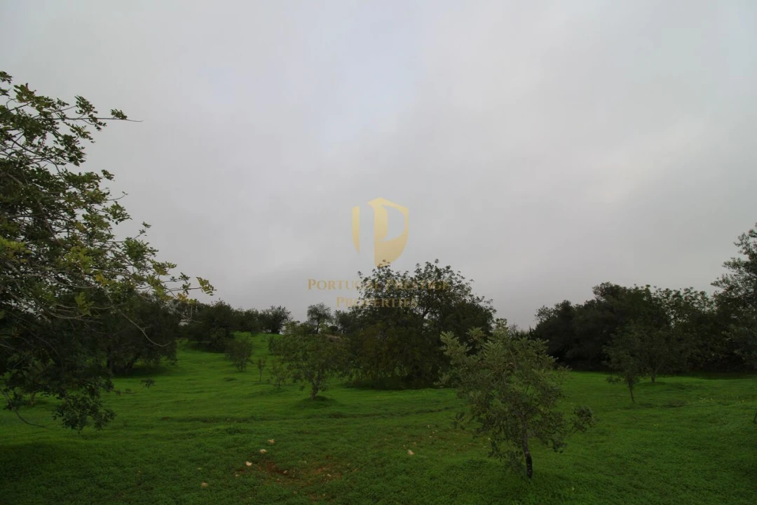 Terreno para Venda em Luz de Tavira e Santo Estêvão Foto 19