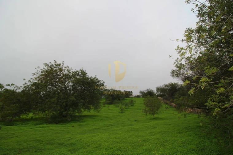 Terreno para Venda em Luz de Tavira e Santo Estêvão Foto 5