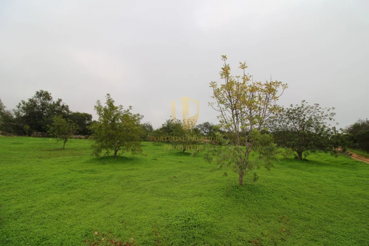 Terreno para Venda em Luz de Tavira e Santo Estêvão Foto 6
