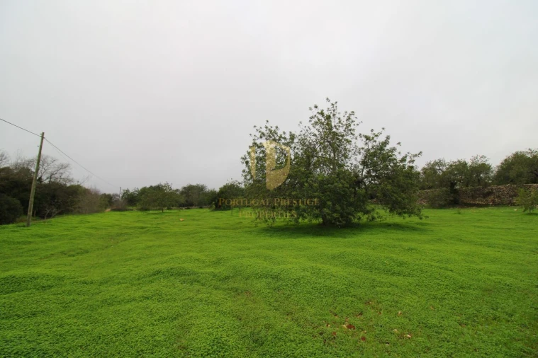 Terreno para Venda em Luz de Tavira e Santo Estêvão Foto 7