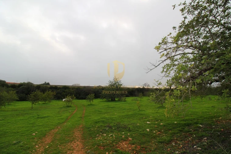 Terreno para Venda em Luz de Tavira e Santo Estêvão Foto 9