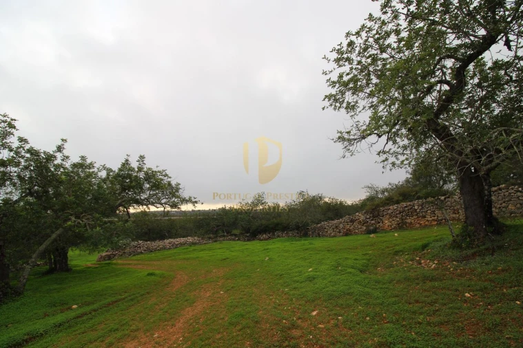 Terreno para Venda em Luz de Tavira e Santo Estêvão Foto 13