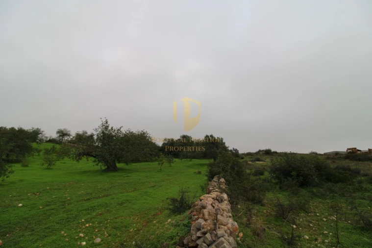 Terreno para Venda em Luz de Tavira e Santo Estêvão Foto 17