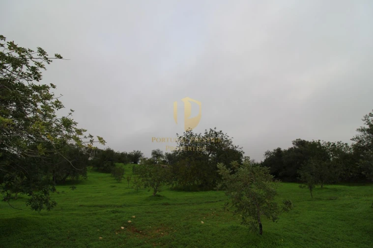 Terreno para Venda em Luz de Tavira e Santo Estêvão Foto 19