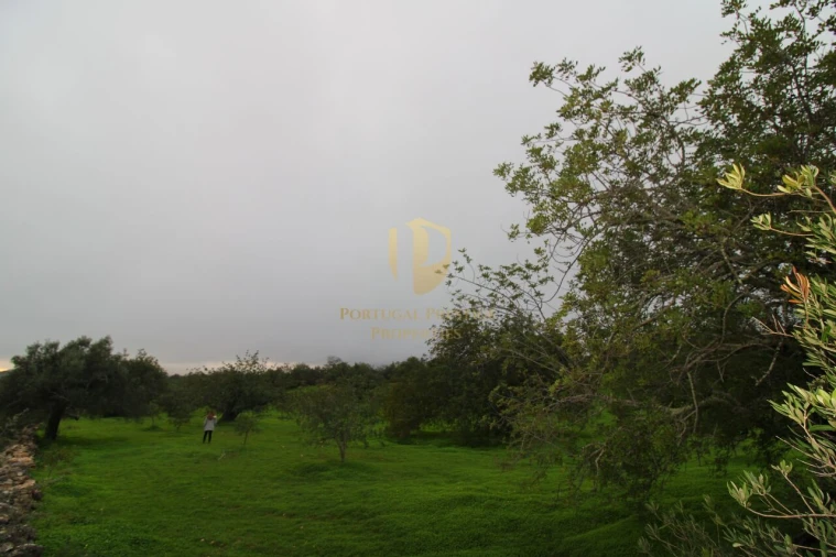 Terreno para Venda em Luz de Tavira e Santo Estêvão Foto 21