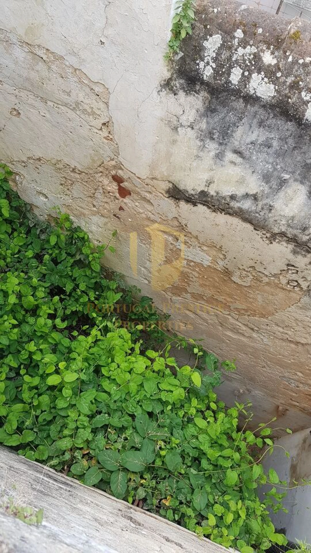 Prédio para Venda em Tavira (Santa Maria e Santiago) Foto 23