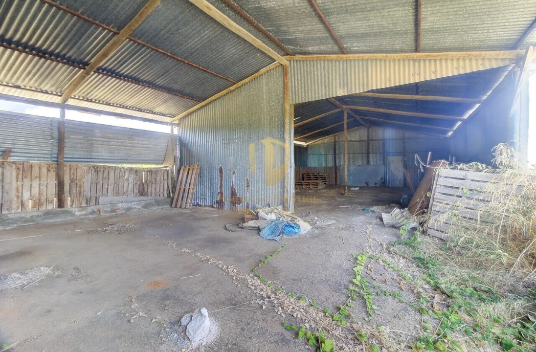 Quinta T3 para Venda em Tavira (Santa Maria e Santiago) Foto 8