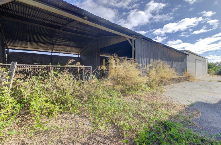 Quinta T3 para Venda em Tavira (Santa Maria e Santiago) Foto 6