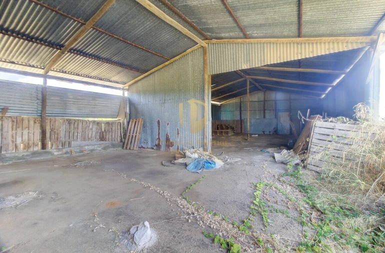 Quinta T3 para Venda em Tavira (Santa Maria e Santiago) Foto 8