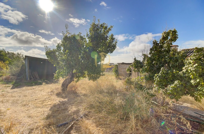 Quinta T3 para Venda em Tavira (Santa Maria e Santiago) Foto 12