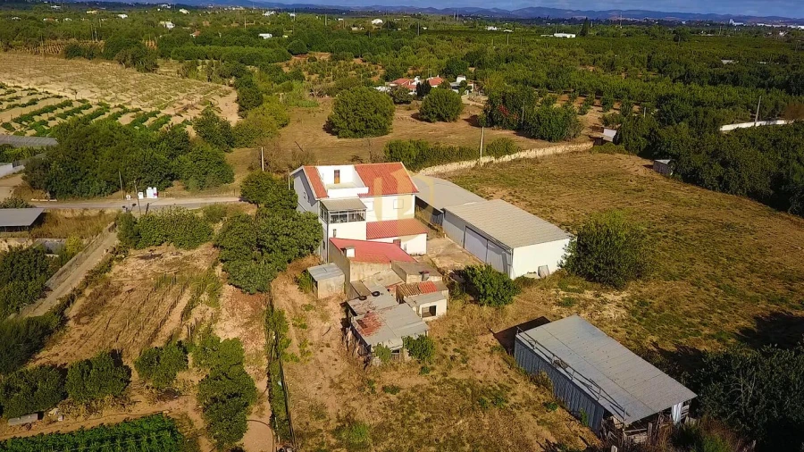 Quinta T3 para Venda em Tavira (Santa Maria e Santiago)