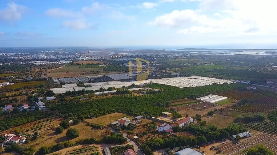 Quinta T3 para Venda em Tavira (Santa Maria e Santiago) Foto 51