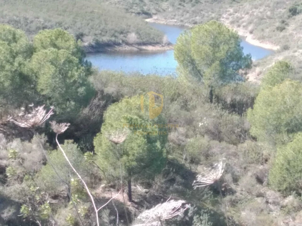 Quinta T0 para Venda em Alcoutim e Pereiro Foto 5