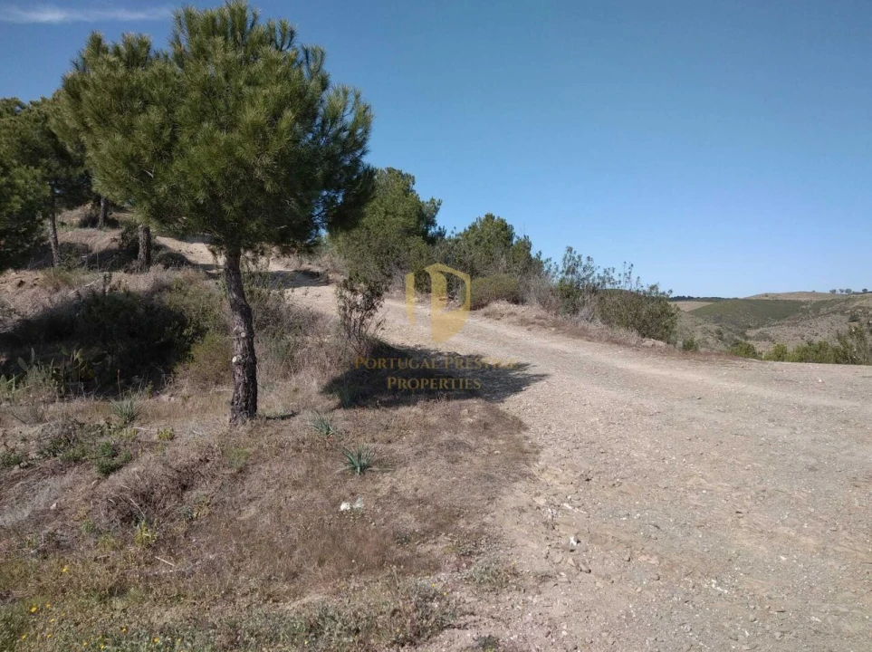 Quinta T0 para Venda em Alcoutim e Pereiro Foto 6