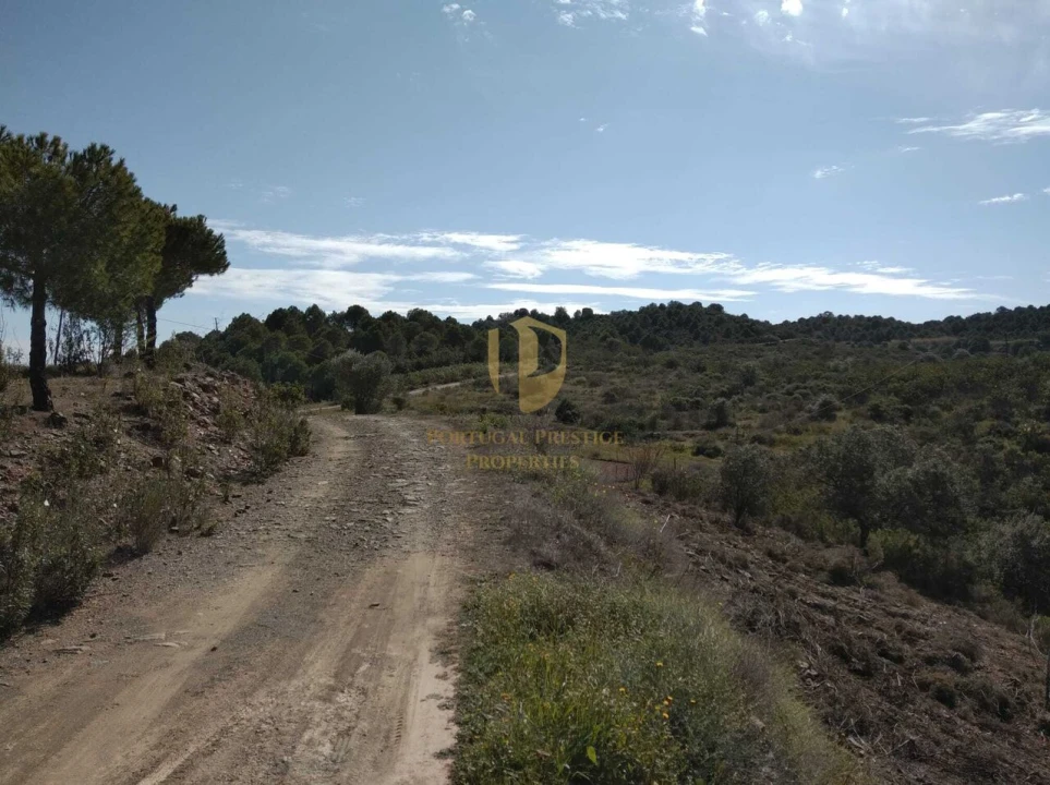 Quinta T0 para Venda em Alcoutim e Pereiro Foto 11