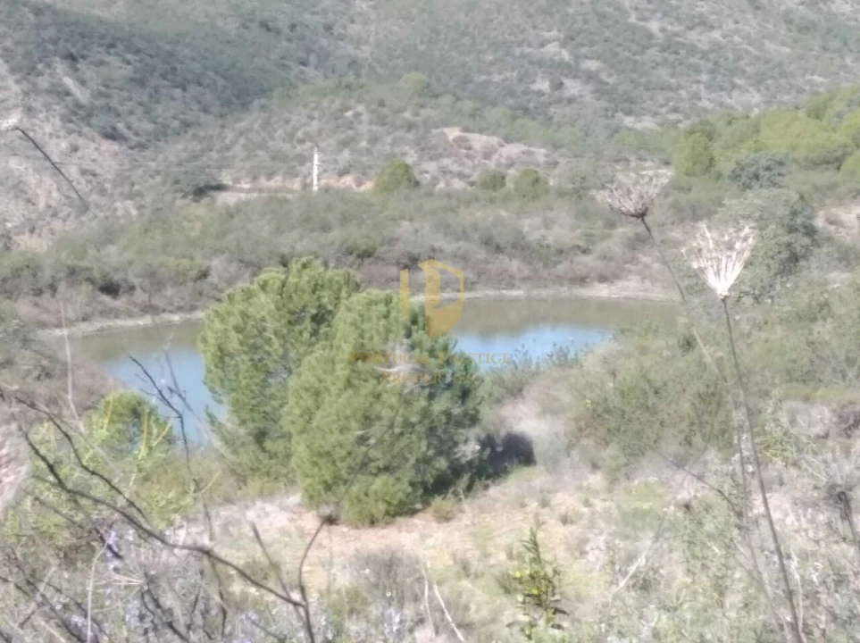 Quinta T0 para Venda em Alcoutim e Pereiro Foto 23
