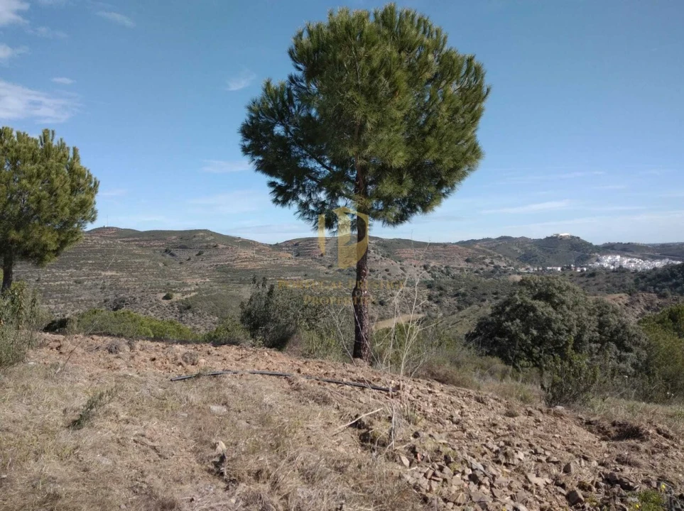 Quinta T0 para Venda em Alcoutim e Pereiro Foto 29