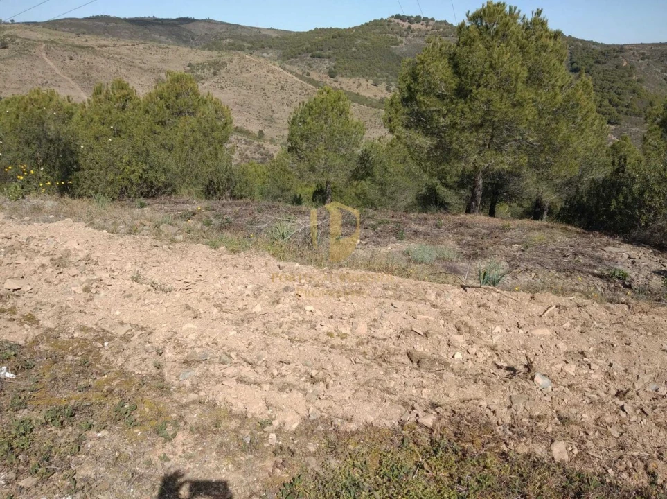 Quinta T0 para Venda em Alcoutim e Pereiro Foto 30