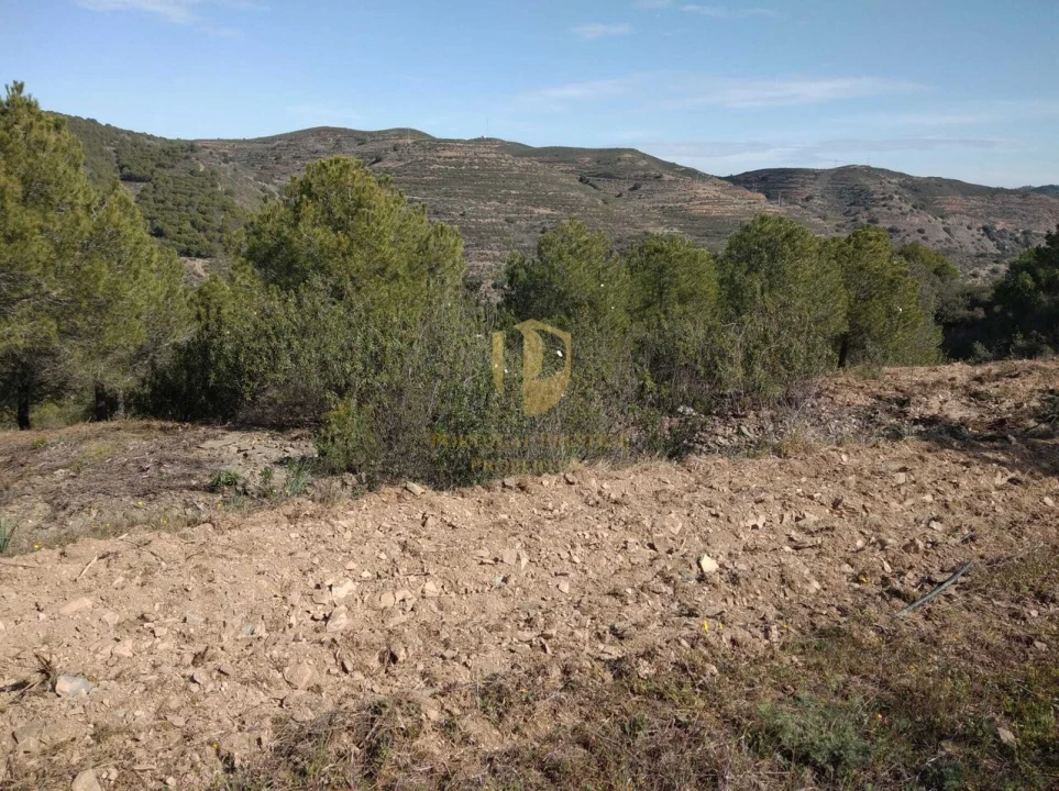 Quinta T0 para Venda em Alcoutim e Pereiro Foto 32