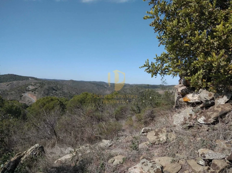 Quinta T0 para Venda em Alcoutim e Pereiro Foto 33