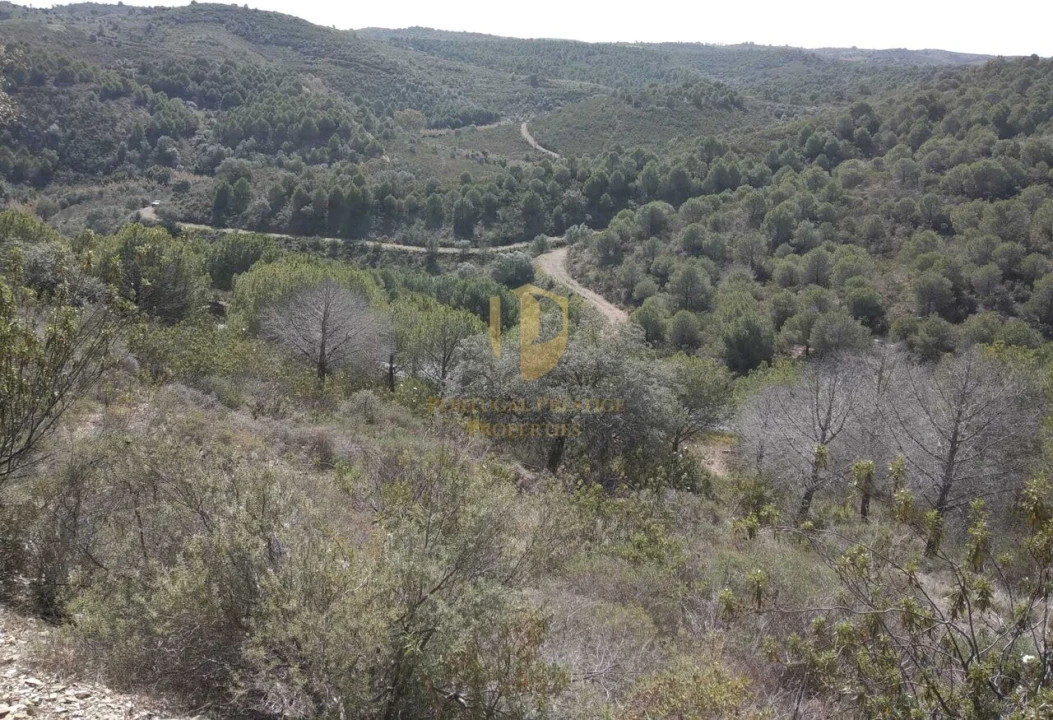 Quinta T0 para Venda em Alcoutim e Pereiro Foto 39