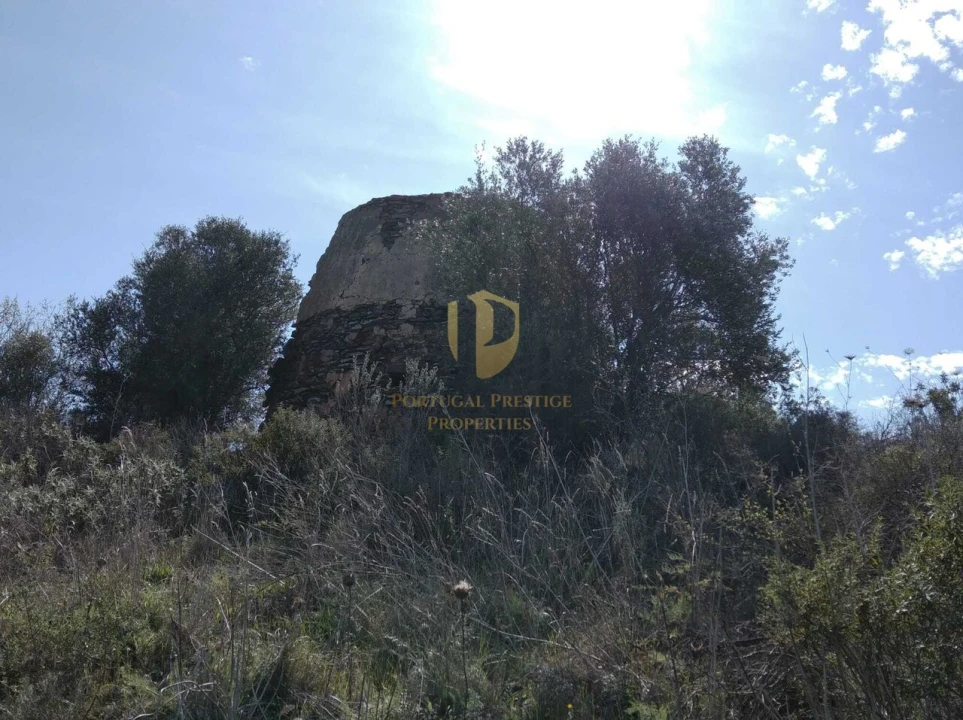 Quinta T0 para Venda em Alcoutim e Pereiro Foto 47