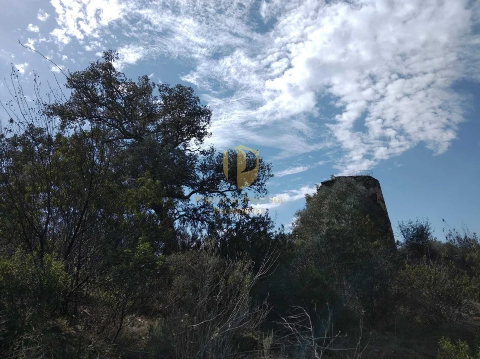 Quinta T0 para Venda em Alcoutim e Pereiro Foto 49