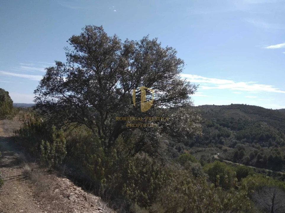 Quinta T0 para Venda em Alcoutim e Pereiro Foto 51