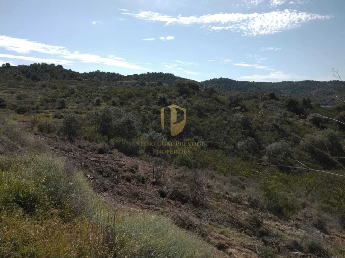 Quinta T0 para Venda em Alcoutim e Pereiro Foto 10