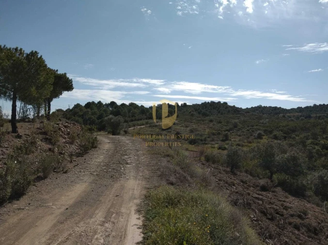 Quinta T0 para Venda em Alcoutim e Pereiro Foto 12