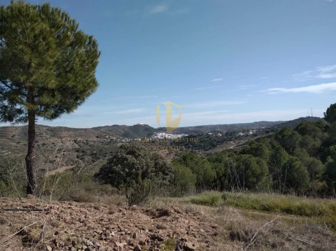 Quinta T0 para Venda em Alcoutim e Pereiro Foto 20