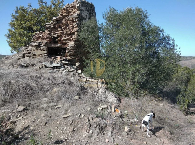 Quinta T0 para Venda em Alcoutim e Pereiro Foto 25