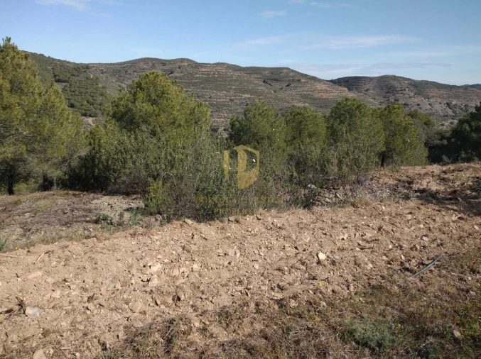 Quinta T0 para Venda em Alcoutim e Pereiro Foto 32