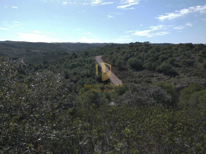 Quinta T0 para Venda em Alcoutim e Pereiro Foto 36