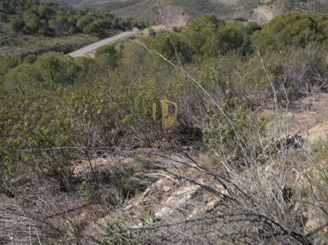 Quinta T0 para Venda em Alcoutim e Pereiro Foto 37
