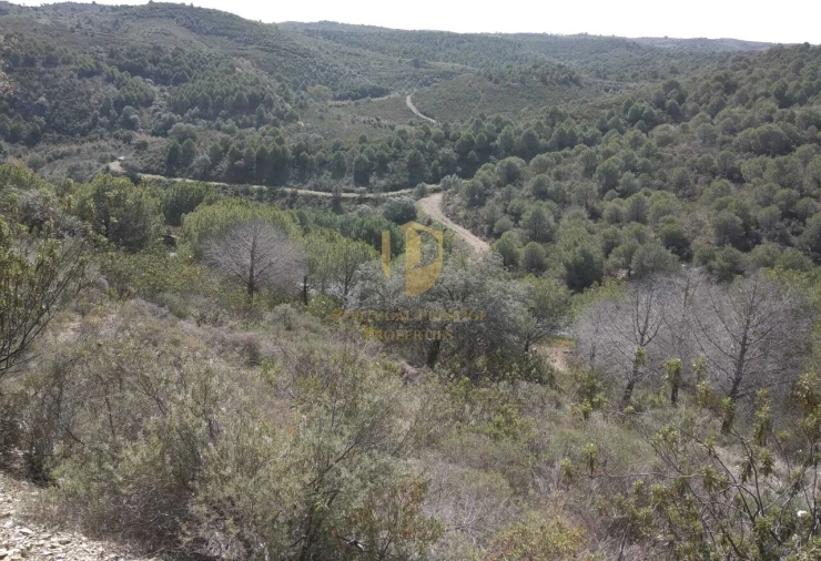 Quinta T0 para Venda em Alcoutim e Pereiro Foto 39