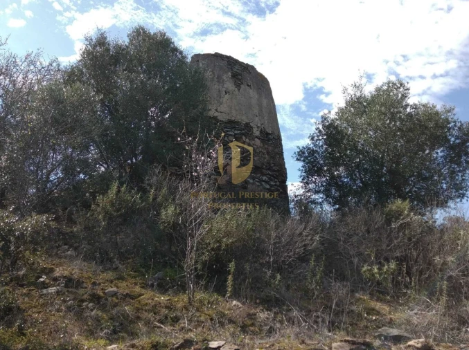 Quinta T0 para Venda em Alcoutim e Pereiro Foto 45