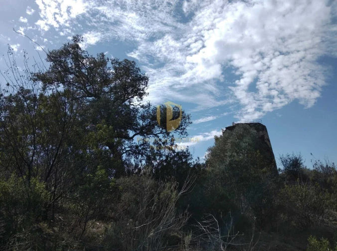 Quinta T0 para Venda em Alcoutim e Pereiro Foto 49