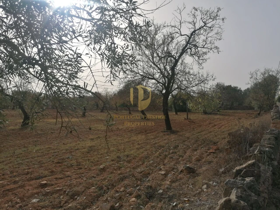 Terreno para Venda em Conceição e Estoi Foto 1