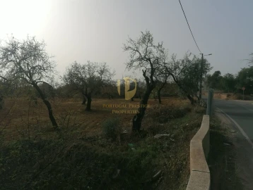 Terreno para Venda em Conceição e Estoi