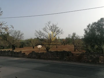 Terreno para Venda em Conceição e Estoi