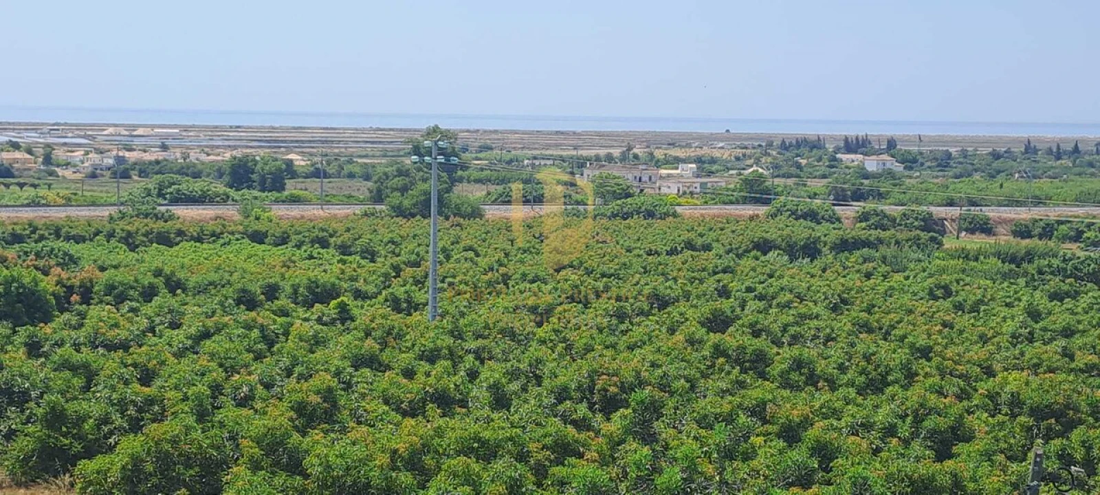 Apartamento T3 para Venda em Tavira (Santa Maria e Santiago) Foto 5