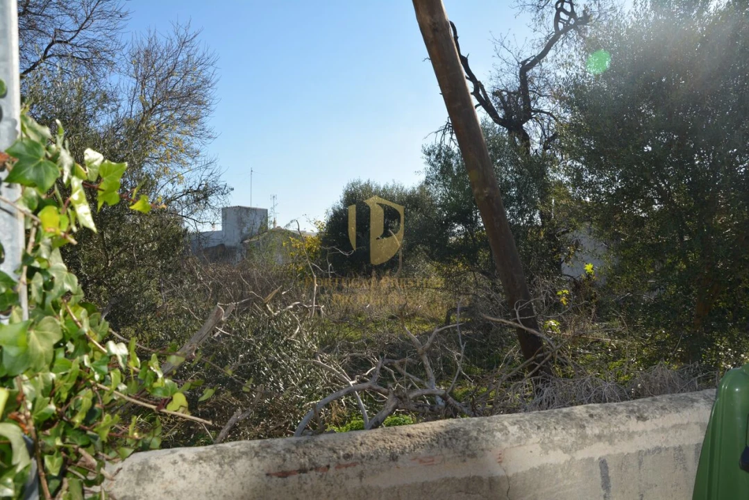 Terreno para Venda em Moncarapacho e Fuseta Foto 8