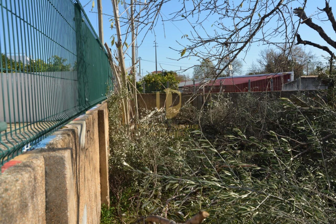 Terreno para Venda em Moncarapacho e Fuseta Foto 10