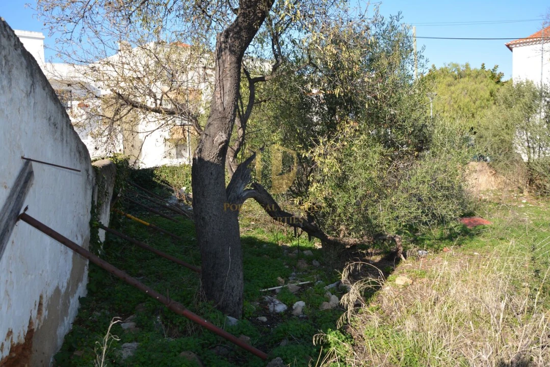 Terreno para Venda em Moncarapacho e Fuseta Foto 12