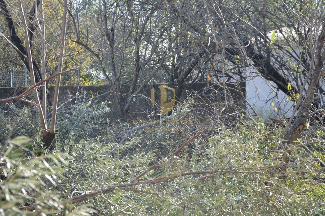 Terreno para Venda em Moncarapacho e Fuseta Foto 30