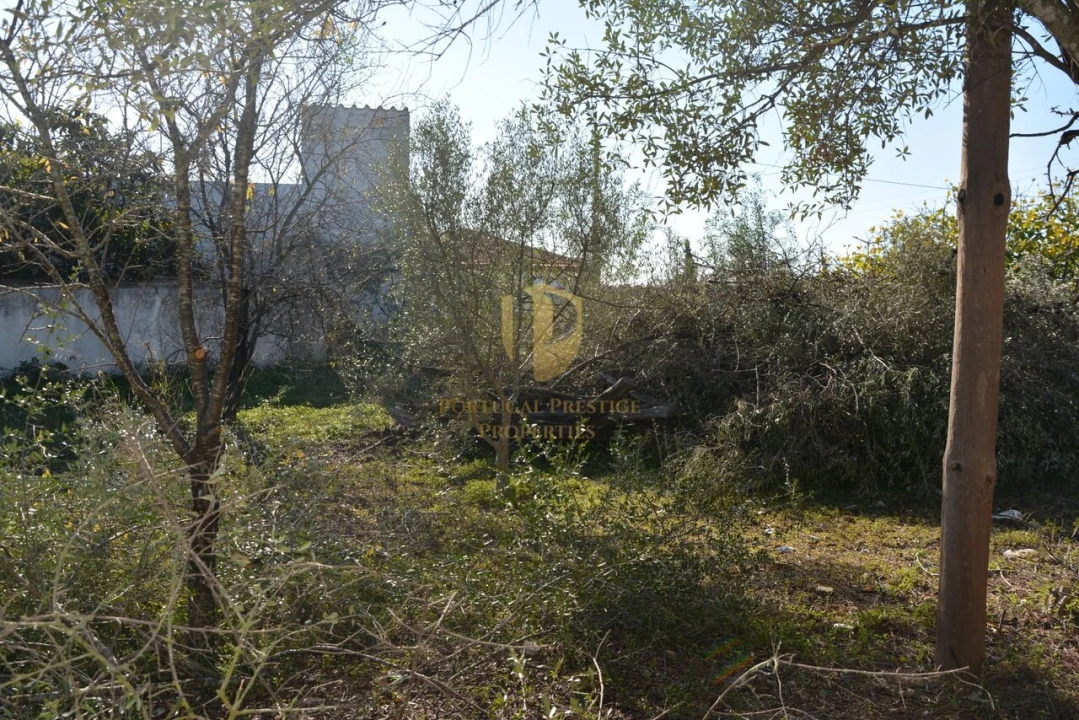 Terreno para Venda em Moncarapacho e Fuseta Foto 31