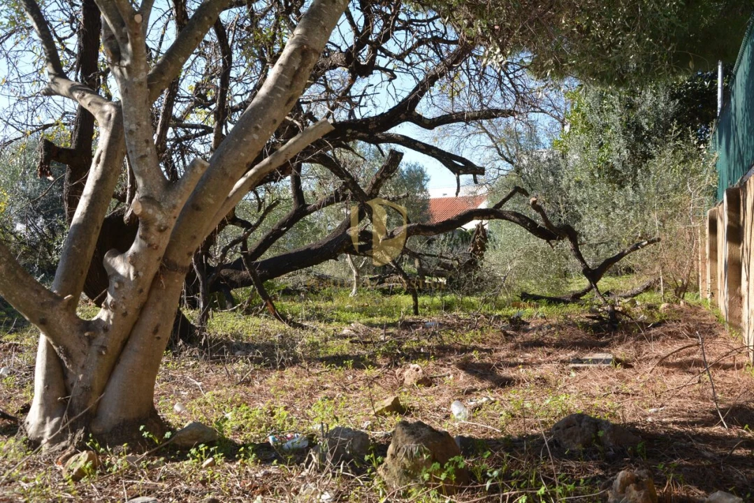 Terreno para Venda em Moncarapacho e Fuseta Foto 32