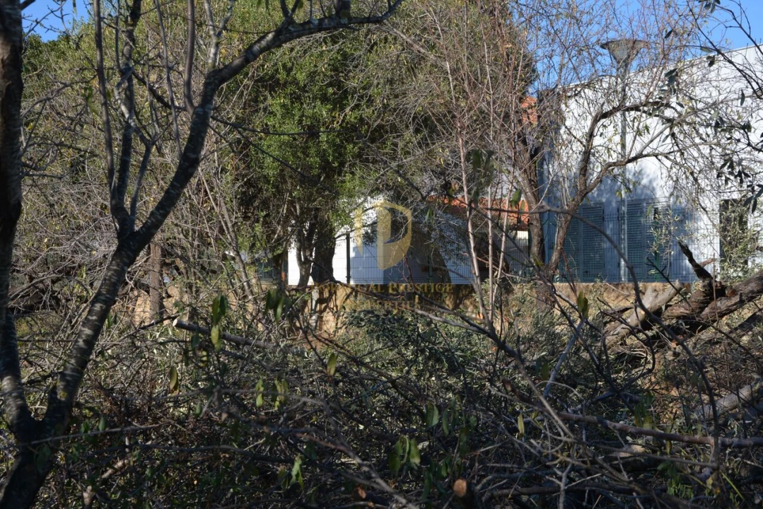 Terreno para Venda em Moncarapacho e Fuseta Foto 35