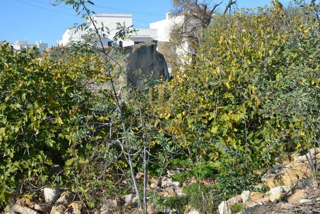 Terreno para Venda em Moncarapacho e Fuseta Foto 39